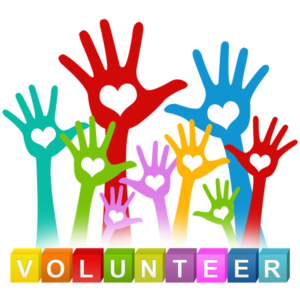 Check our Volunteer Directory for Teacher Availability!